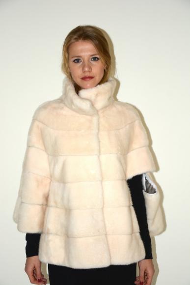 Visone maschio warm