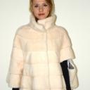 Visone maschio warm