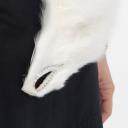 Volpe bianca