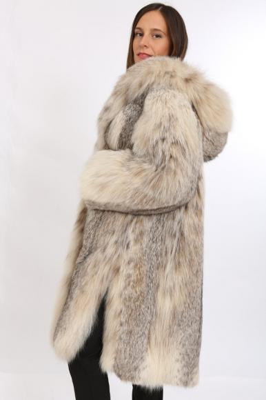 Lince russa
